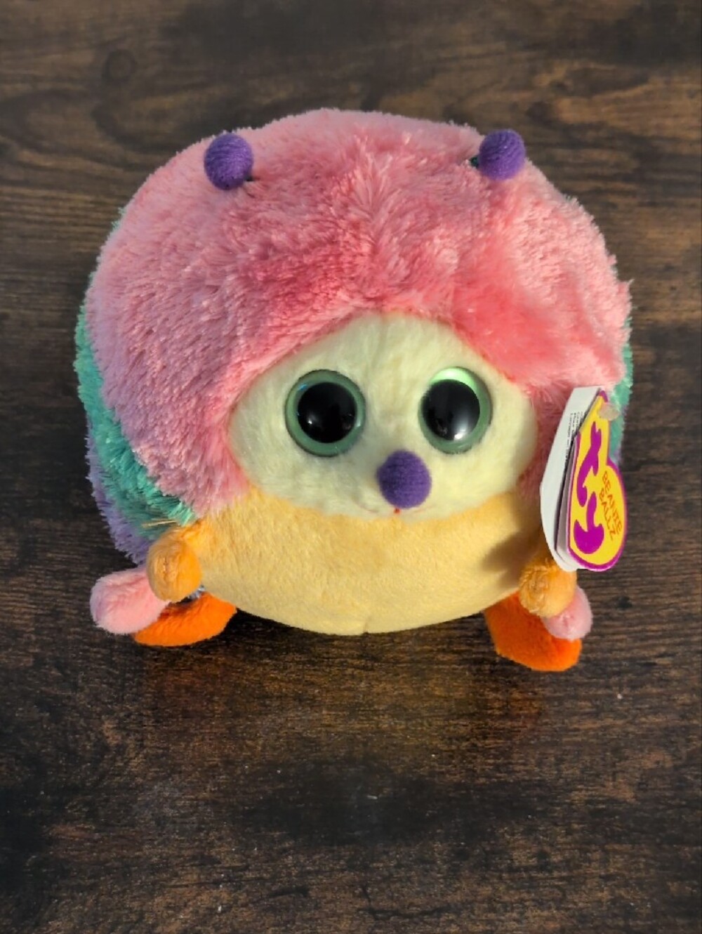 5/$25 Ty Beanie Ballz Rainbow Hedgehog Plush